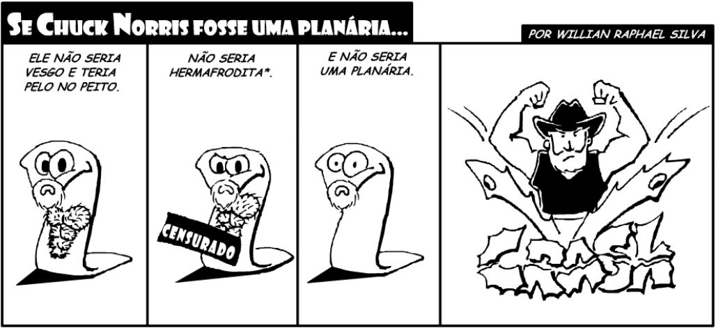 tirinha-Se-chuck-norris-fosse-uma-planaria