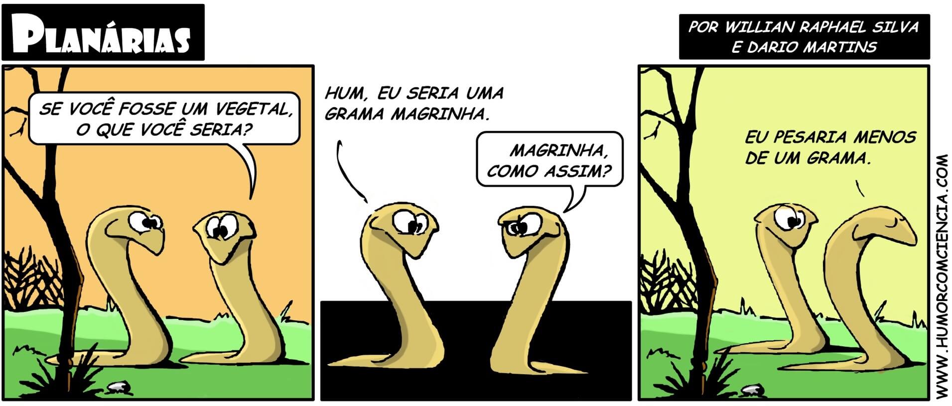 planárias