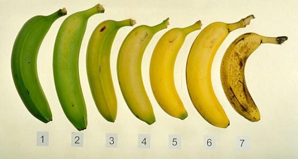 Banana Tamanhos