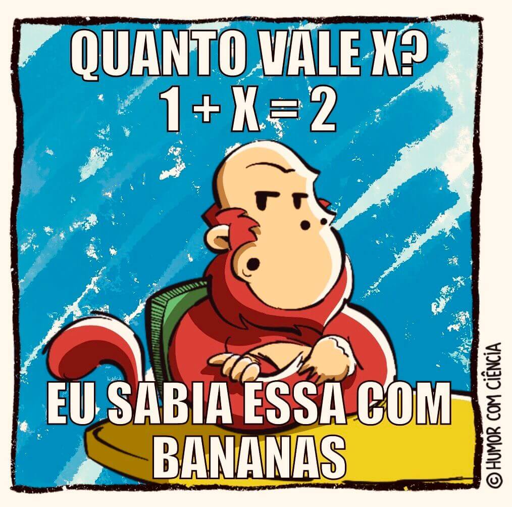 O que é um meme?